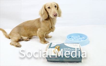 Social Media